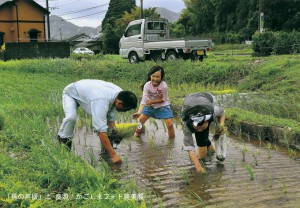 孫の声援