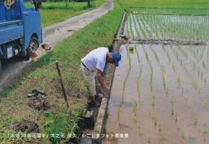 水守10年活躍中