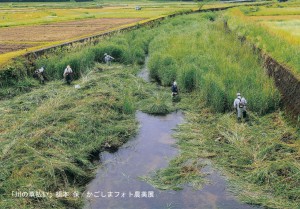 川の草払い