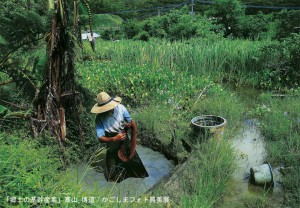 郷土の基幹産業