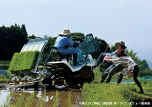 田植えの三姉妹