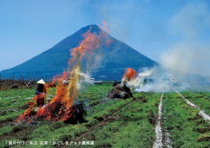 後片付け