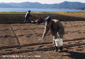 植え付けの準備