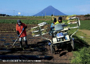 植え付け日和