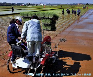 12 中学生、田植機に挑戦