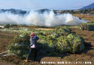 27 霜害の後始末