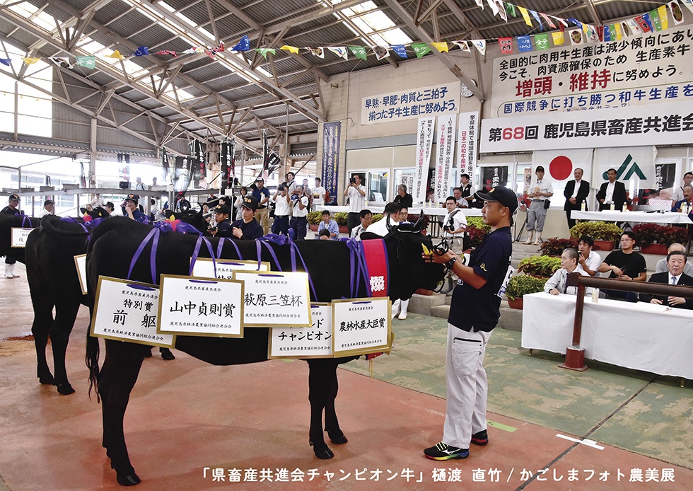 22-県畜産共進会チャンピオン牛（特選）